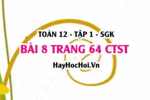 Bài 8 trang 64 Toán 12 tập 1 Chân trời sáng tạo: Tinh công của một lực trong vật lí